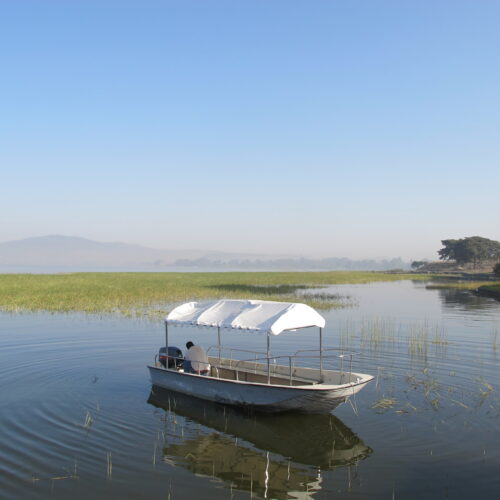 Lake Awasa & Wondo Genet Birding Tours