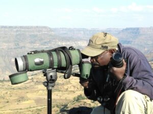 Ethiopia Birdwatching Tour