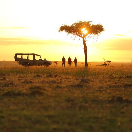 Ngorongoro Crater Birding Tour