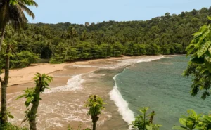 Sao Tome and Principe Birding Tours